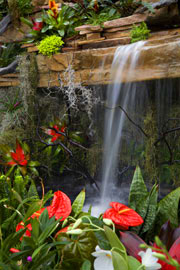 waterfall photo