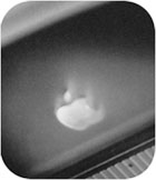 Apple Computer