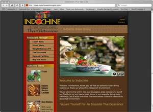 Indochine Web Site Design